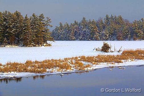 Loon Lake_05181.jpg - Photographed near Westport, Ontario, Canada.